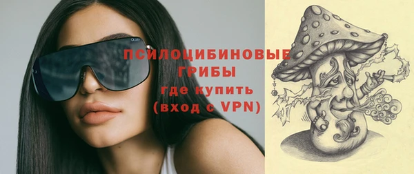экстази Ельня