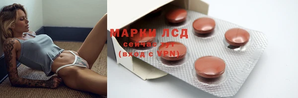 экстази Ельня