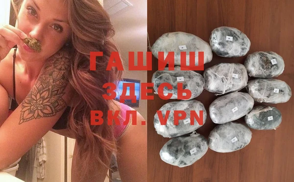 крисы Коряжма