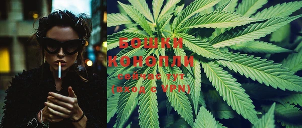 крисы Коряжма