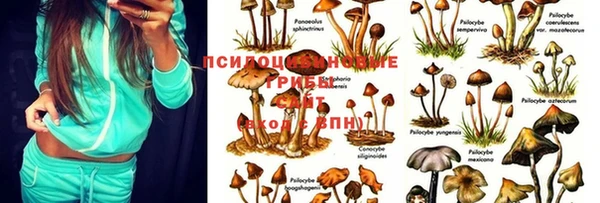 экстази Ельня