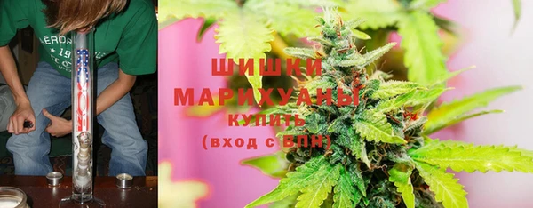 крисы Коряжма