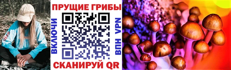 Галлюциногенные грибы мухоморы  Кириши 