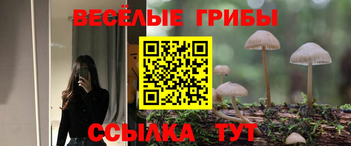 Псилоцибиновые грибы мицелий  Вход с VPN  Кириши  Псилоцибиновые грибы мухоморы 