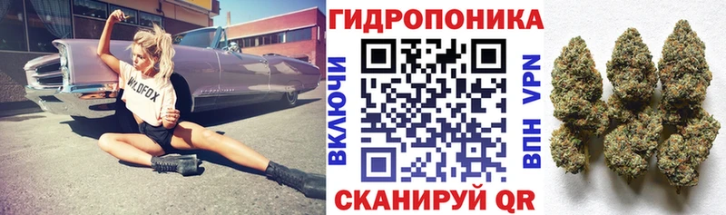 МАРИХУАНА конопля  гидра онион  Кириши  дарнет шоп 